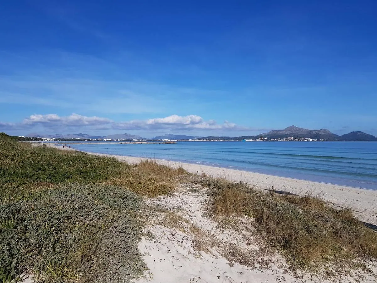 Ideal Property Mallorca - Son Fe ξενώνας Αλκούδια Εξοχικό σπίτι